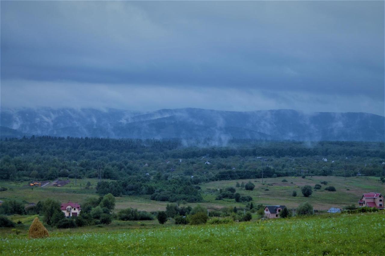 Villa Family House Truskavets Modrychi Екстериор снимка
